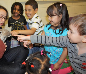 smart from the start 2